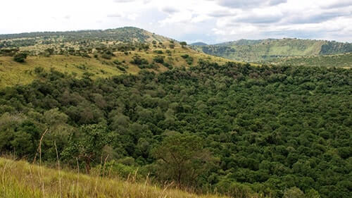 Maramagambo Forest