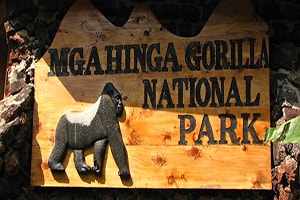Tourist Sites in Uganda
