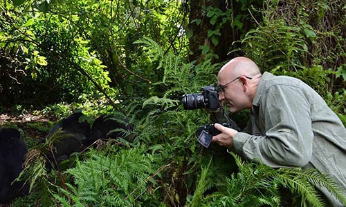 Gorilla Trekking