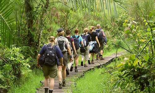 Bigodi Wetland Sanctuary